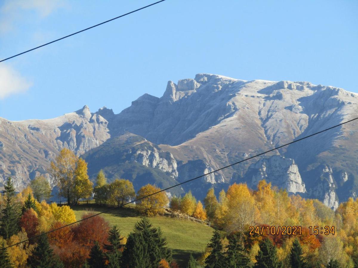 Ograda De La Munte Villa Бран Екстериор снимка