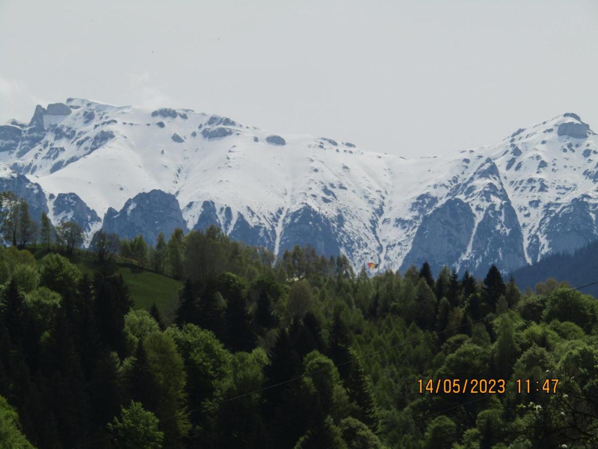 Ograda De La Munte Villa Бран Екстериор снимка