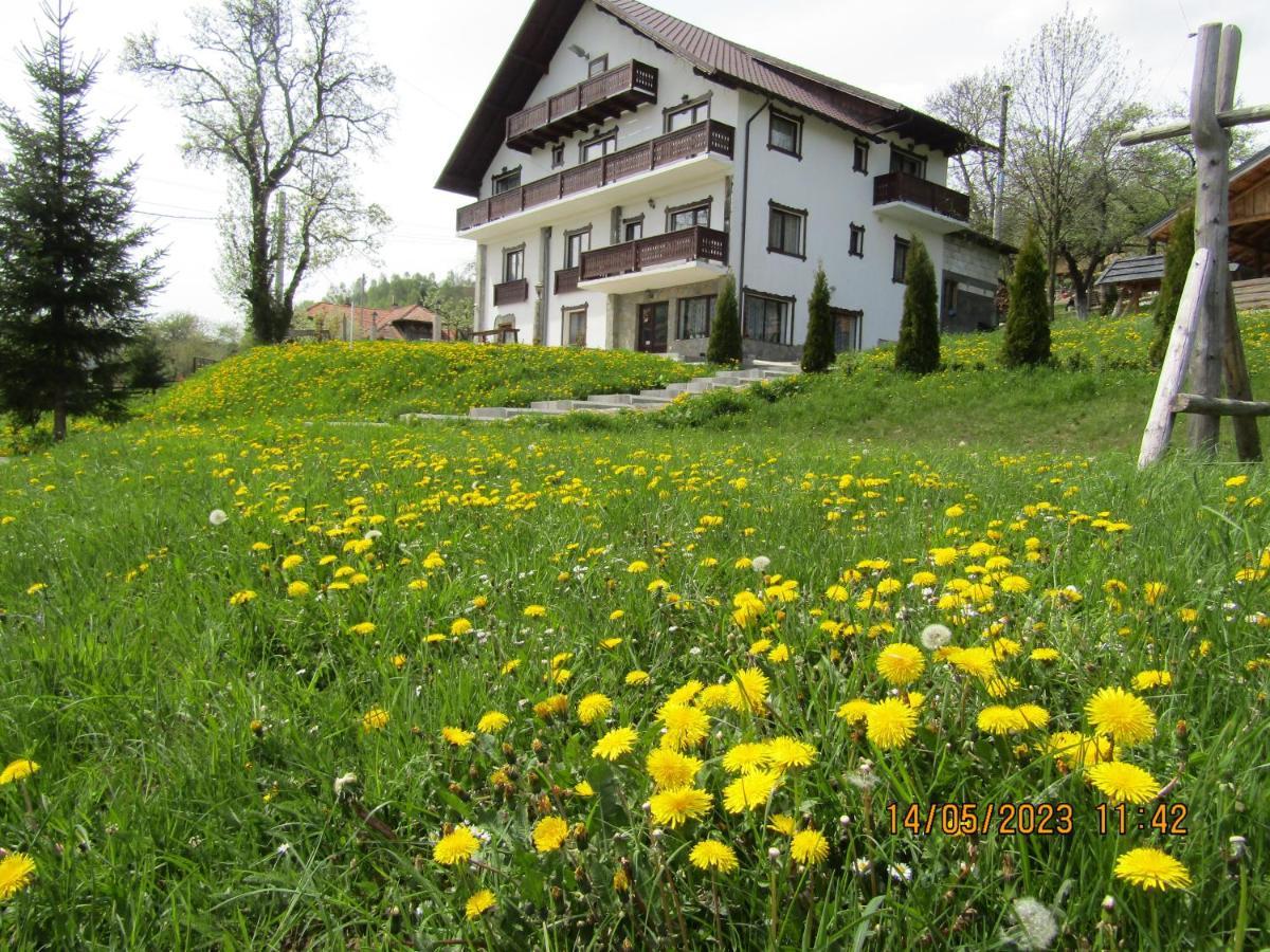 Ograda De La Munte Villa Бран Екстериор снимка