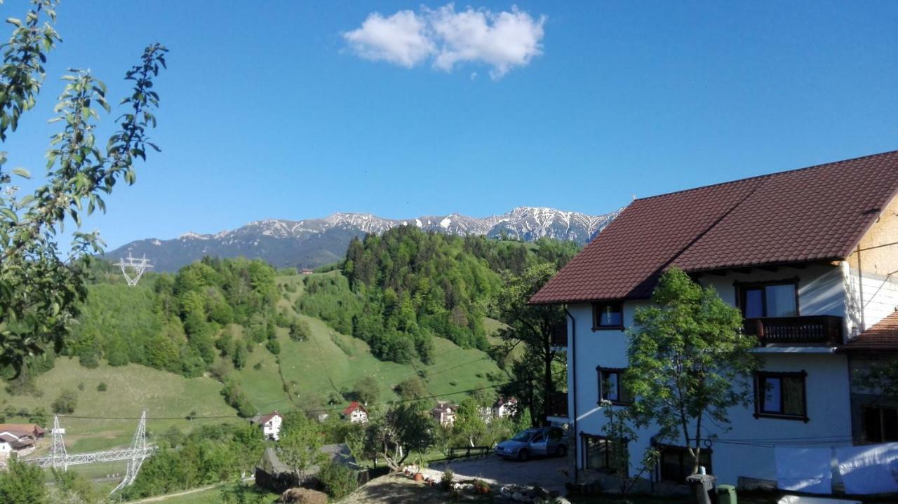 Ograda De La Munte Villa Бран Екстериор снимка